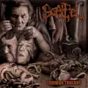 preview 515