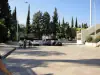 Спорткомплексы.